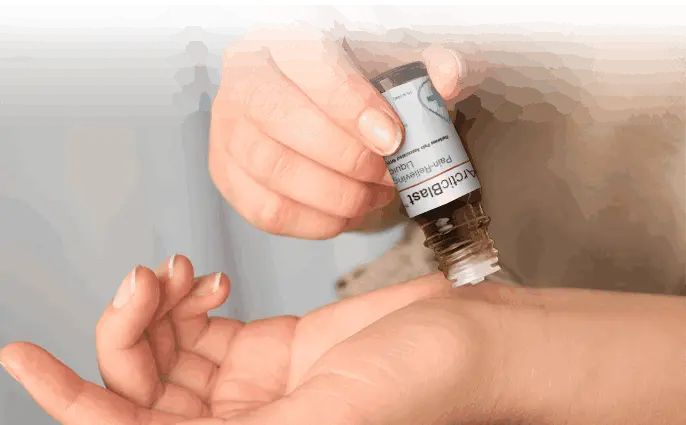 ArcticBlast Supplement